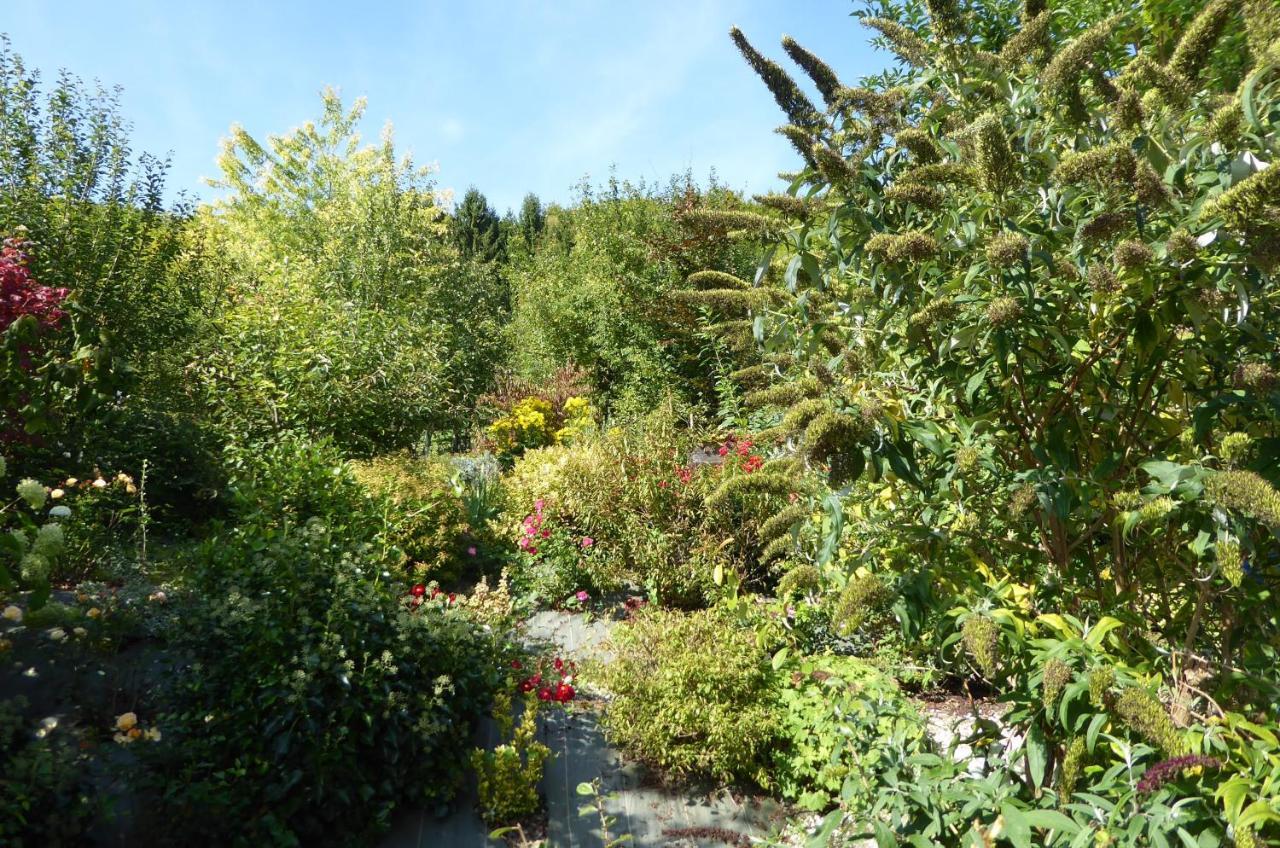 Vila Dans Un Jardin Apremont-la-Foret Exteriér fotografie